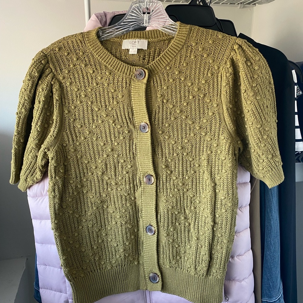 LOFT Women's Olive Green Short Sleeve Sweater